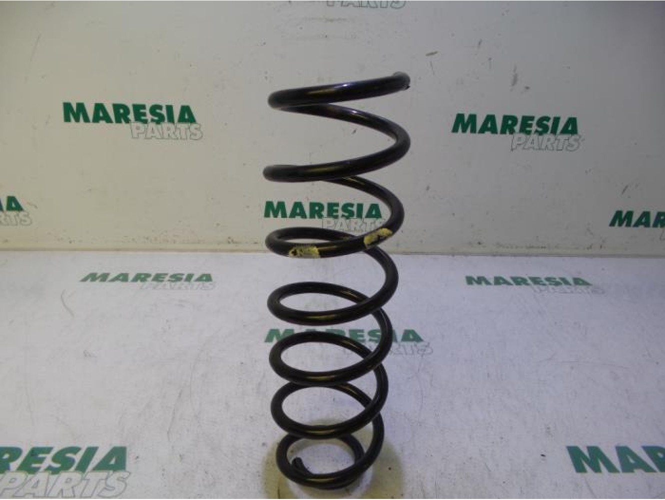 Renault - Megane - Rear coil spring