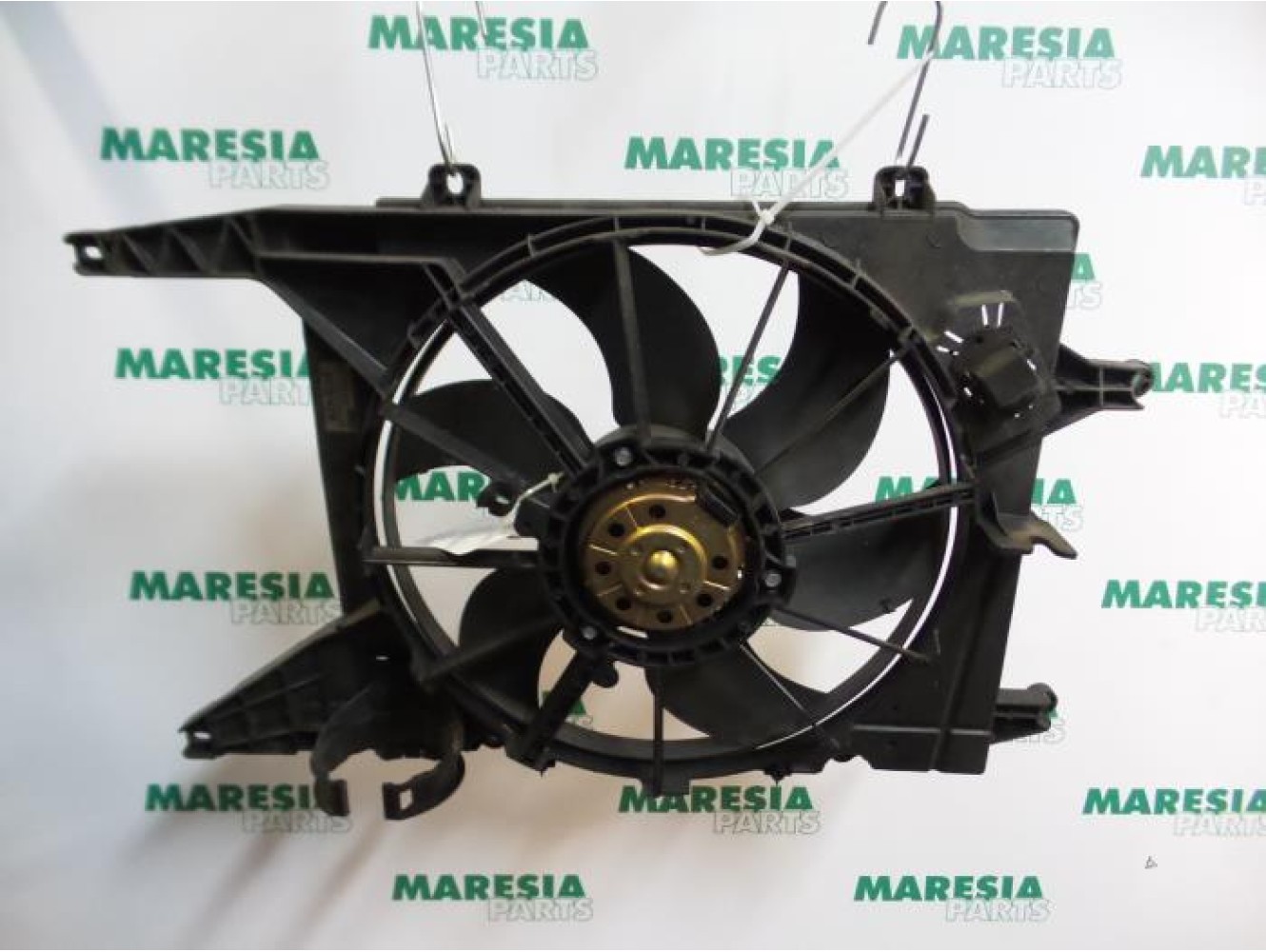 Renault - Megane Scenic - Kühlgebläse Motor