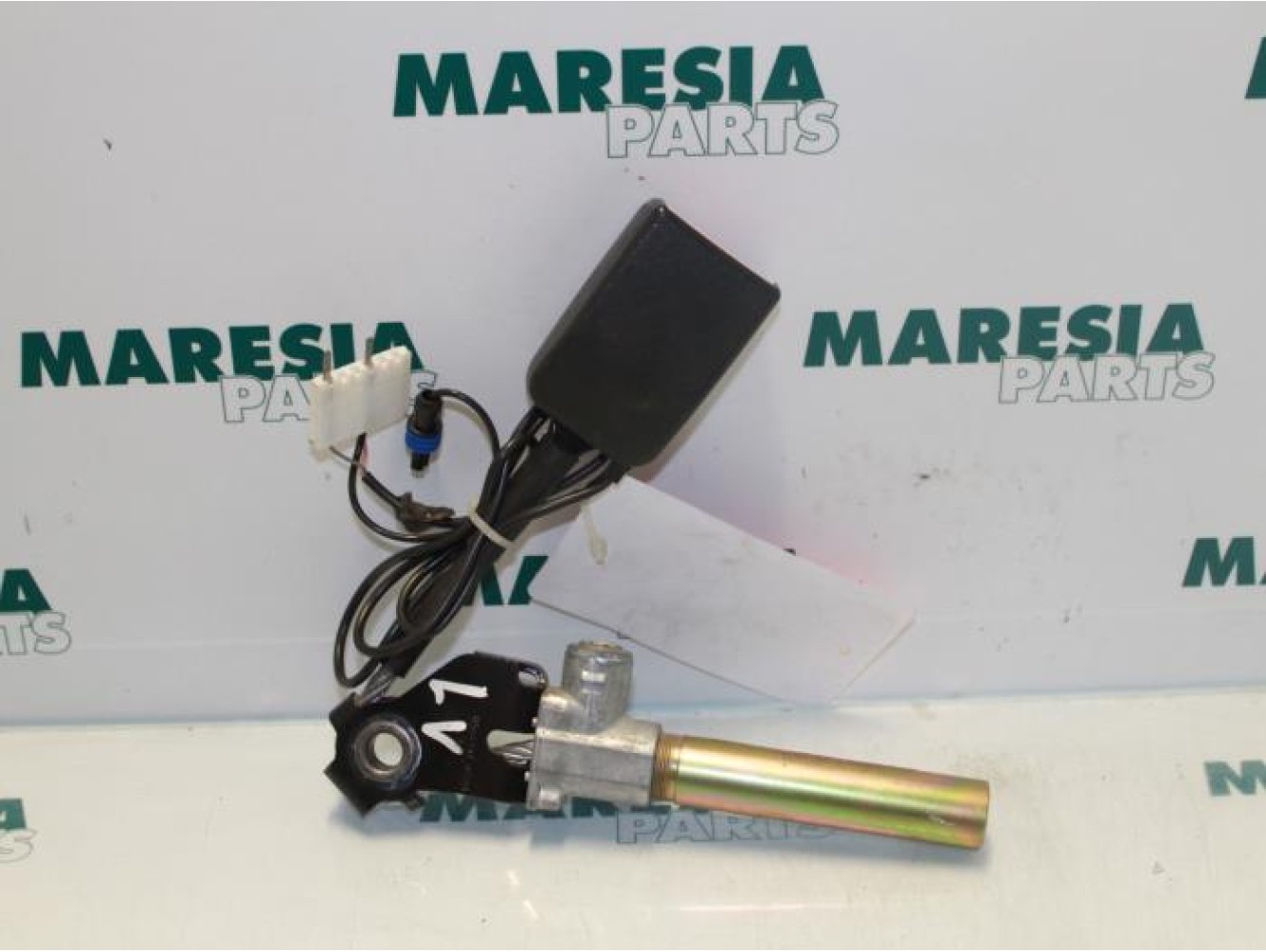 Renault - Megane Scenic - Gurtsrammer links