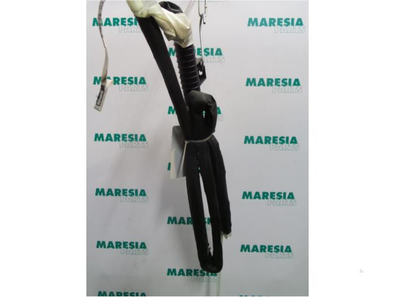 Renault - Megane Scenic - Airbag hemel links