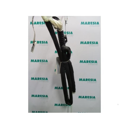 Renault - Megane Scenic - Airbag hemel links