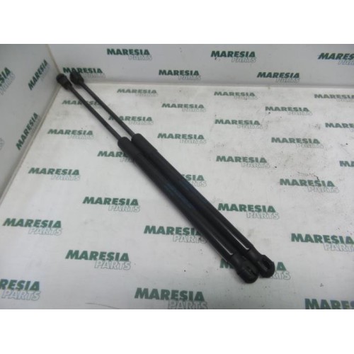Peugeot - 3008 - Set of tailgate gas struts