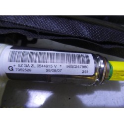 Peugeot - 207 - Airbag Himmel links