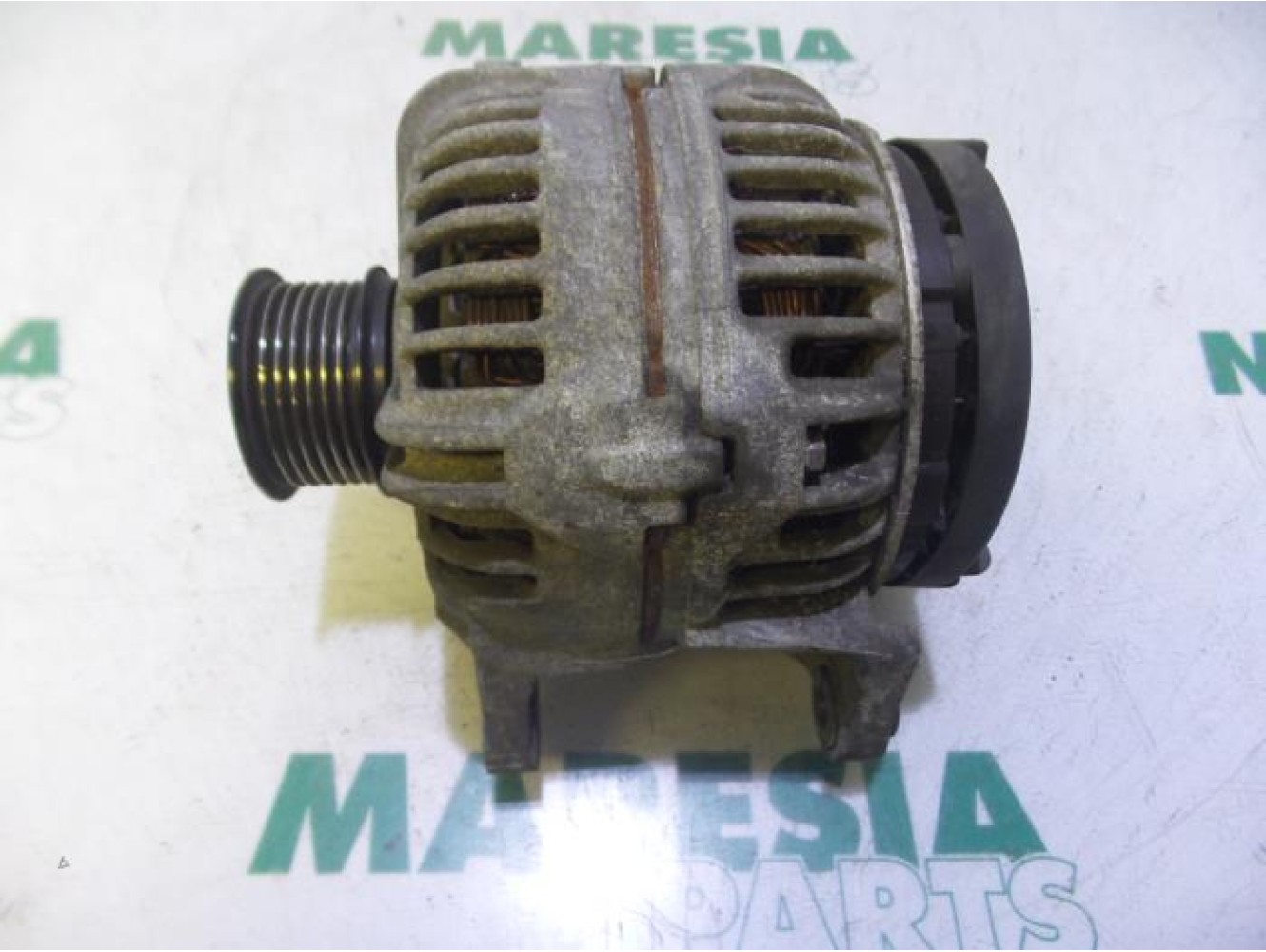 Fiat - Ducato - Dynamo