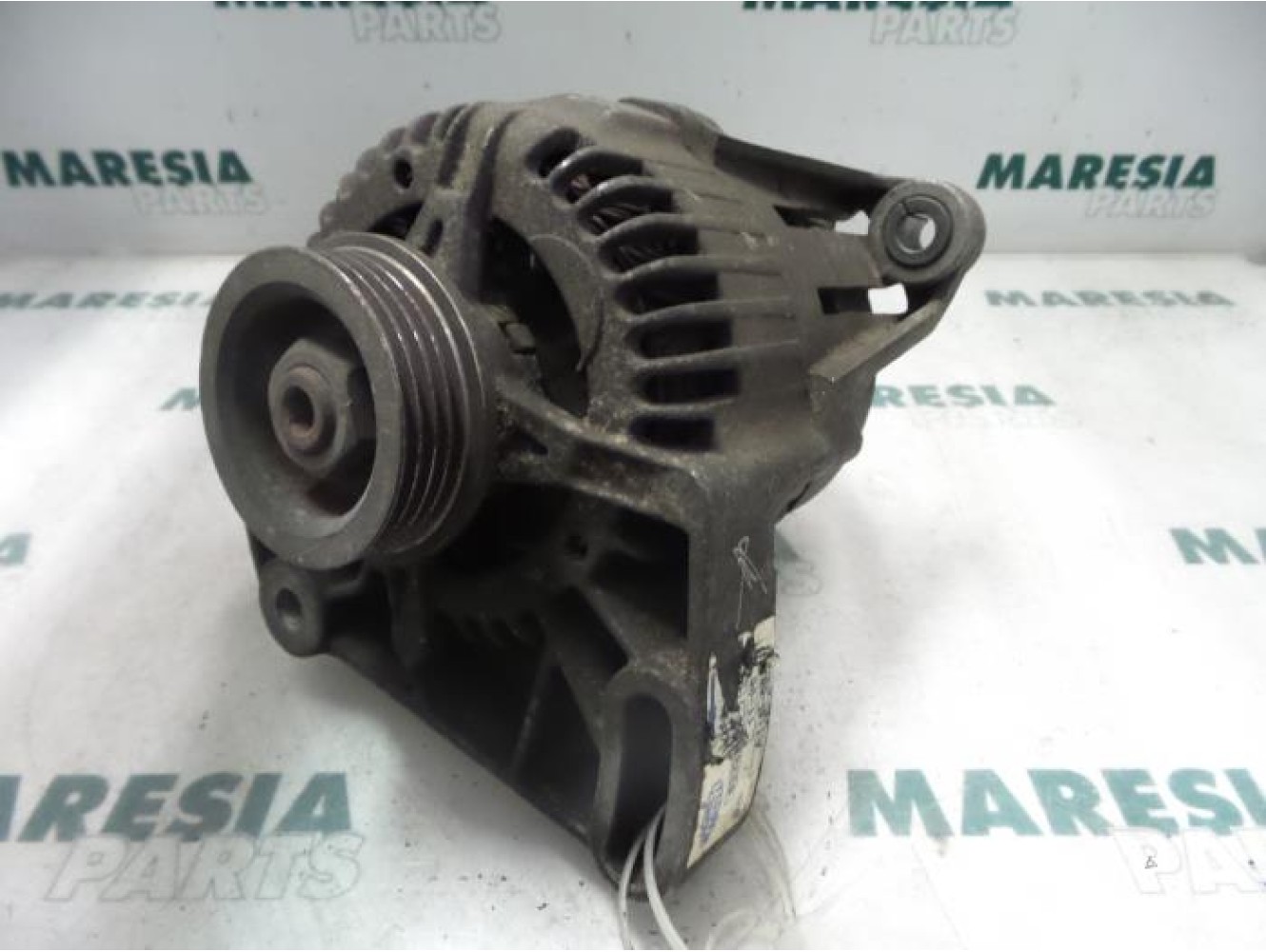 Fiat - Punto - Dynamo