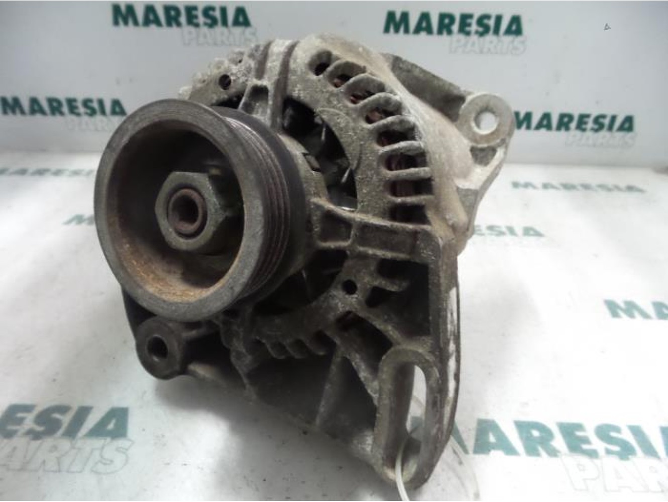 Fiat - Punto - Dynamo