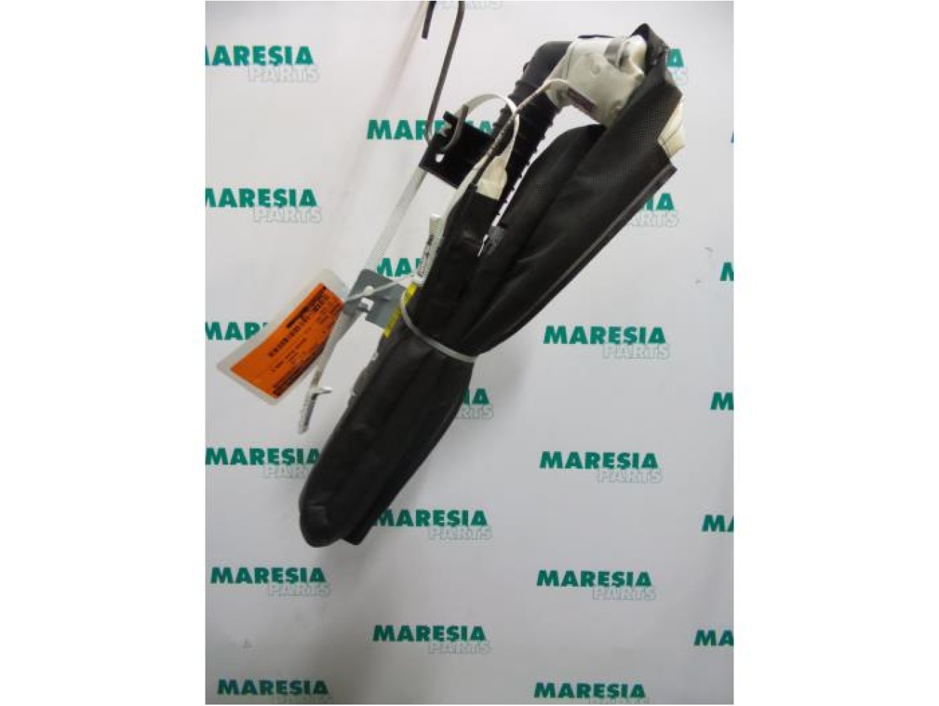 Renault - Megane Scenic - Airbag Himmel rechts