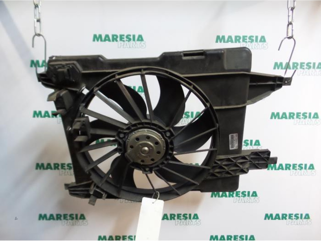 Renault - Megane Scenic - Kühlgebläse Motor