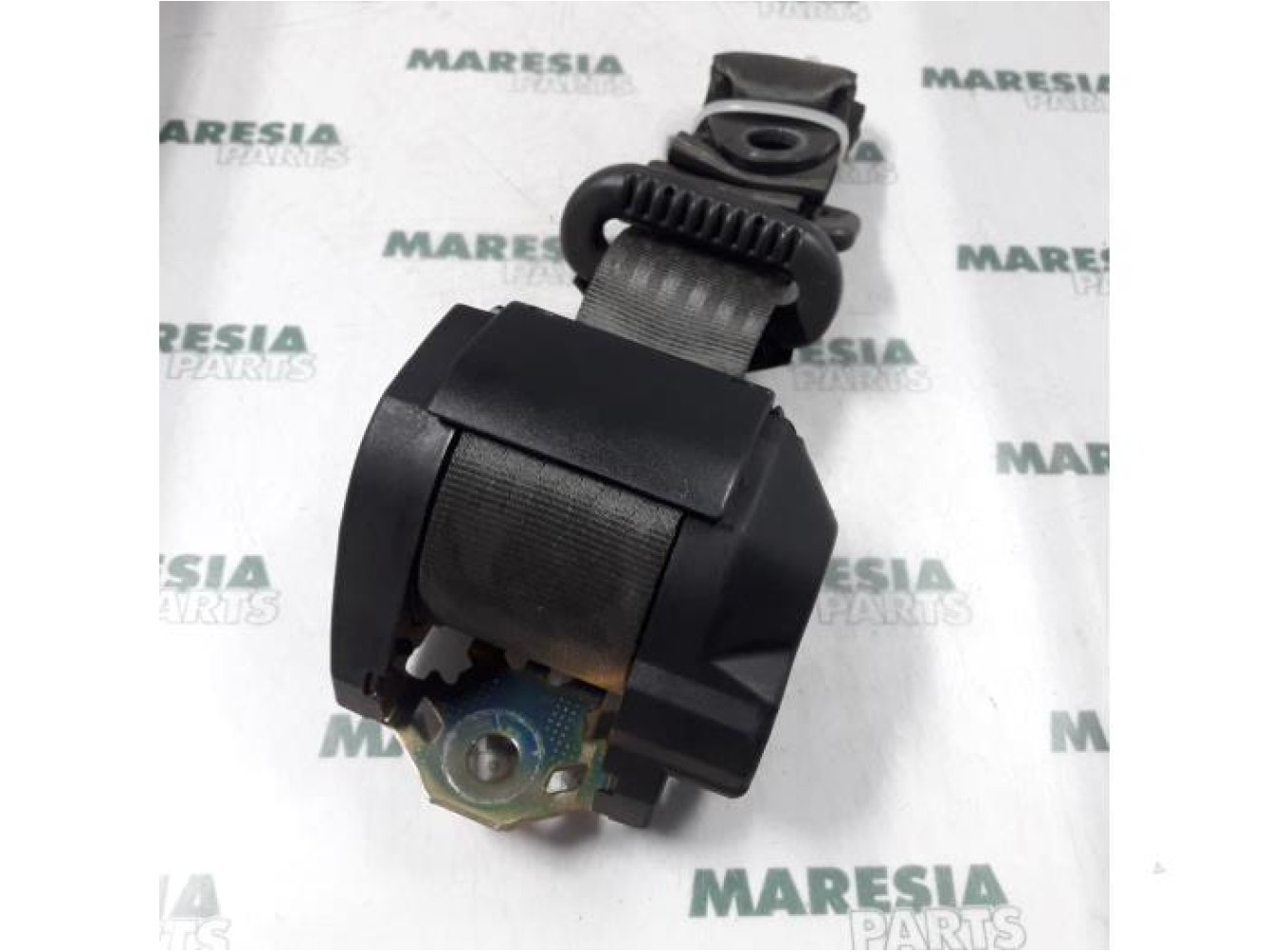 Fiat - Punto - Sicherheitsgurt links hinten