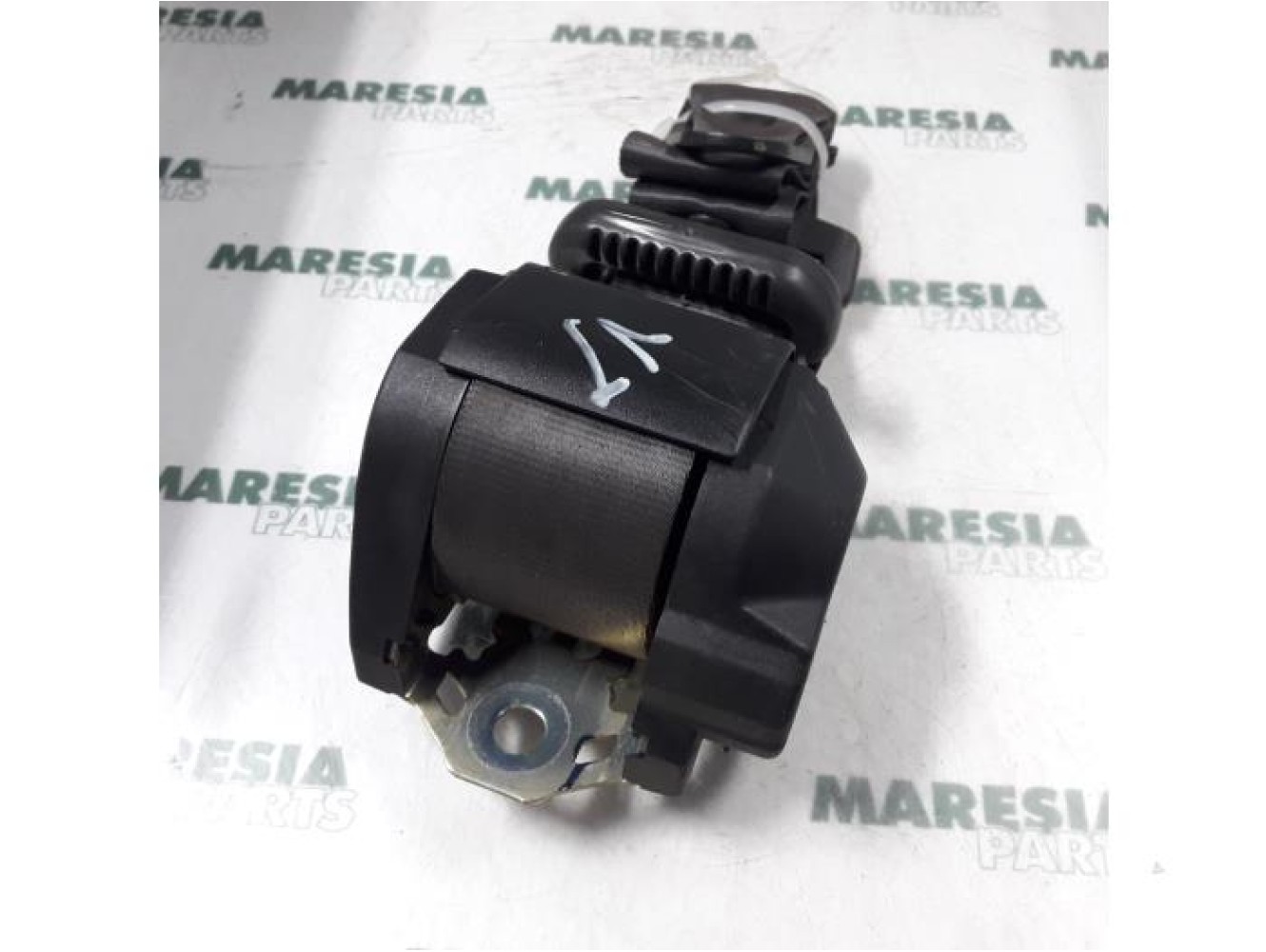 Fiat - Punto - Sicherheitsgurt links hinten