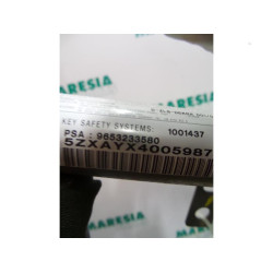 Peugeot - 307 - Airbag Himmel links