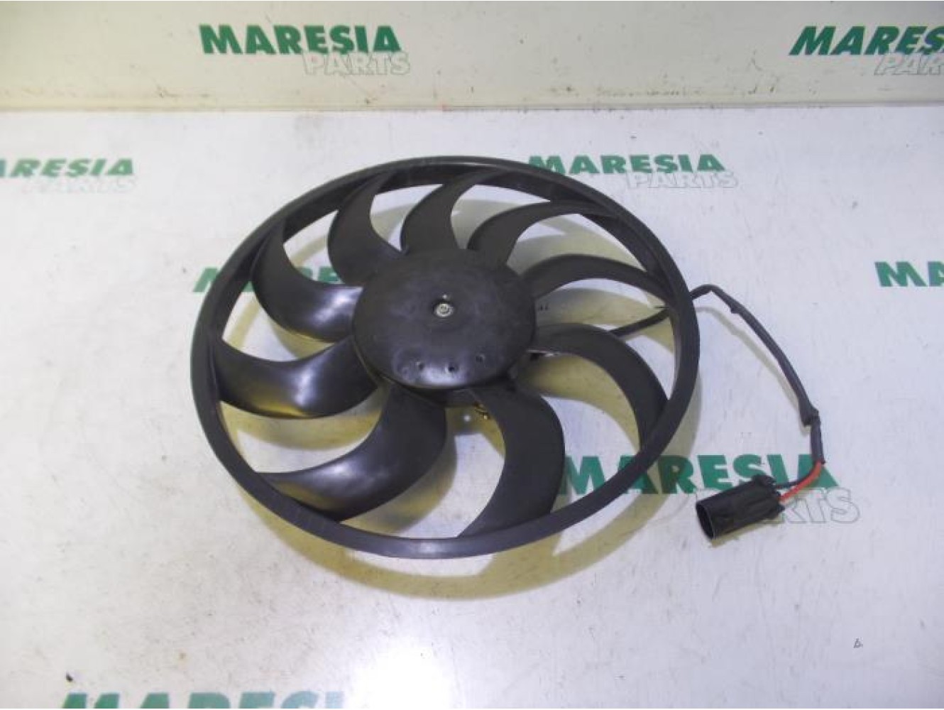 Fiat - Panda - Kühlgebläse Motor