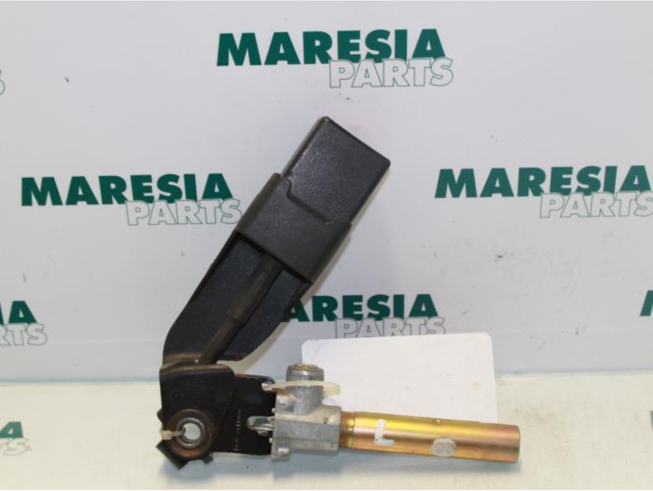 Renault - Kangoo - Gurtsrammer links