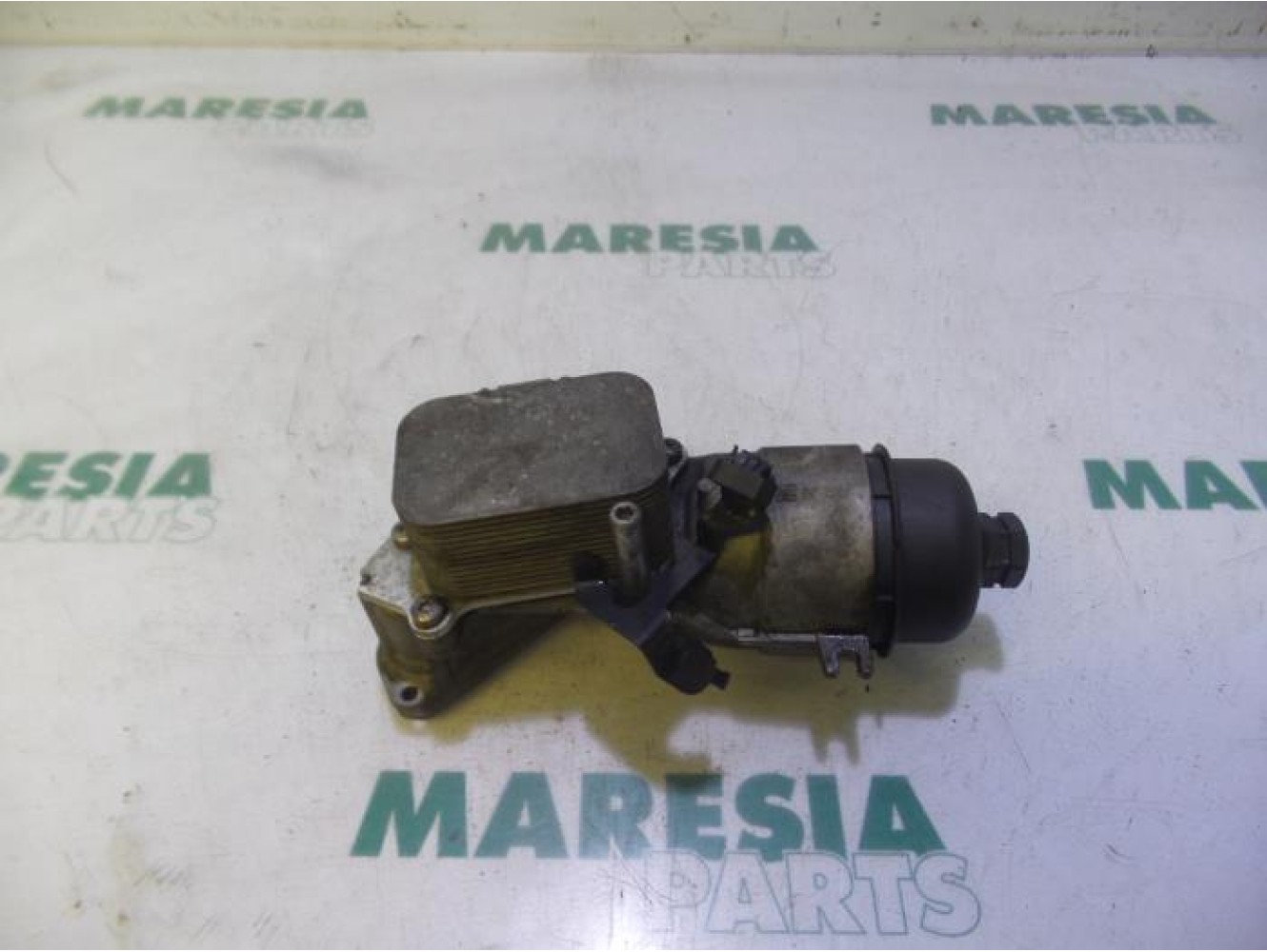 Peugeot - 207 - Oil filter holder