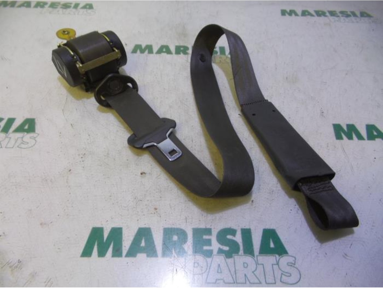 Renault - Megane - Sicherheitsgurt links vorne
