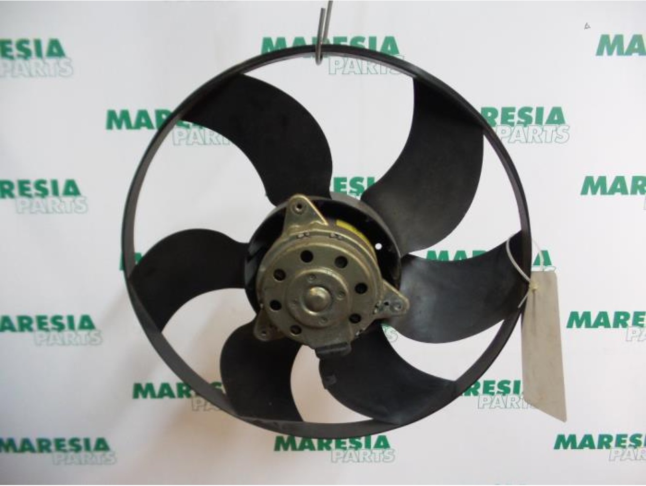 Renault - Megane Scenic - Kühlgebläse Motor