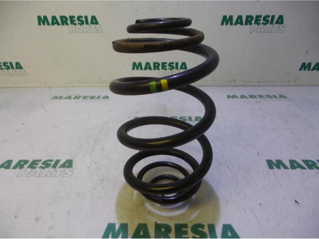Renault - Trafic - Rear coil spring