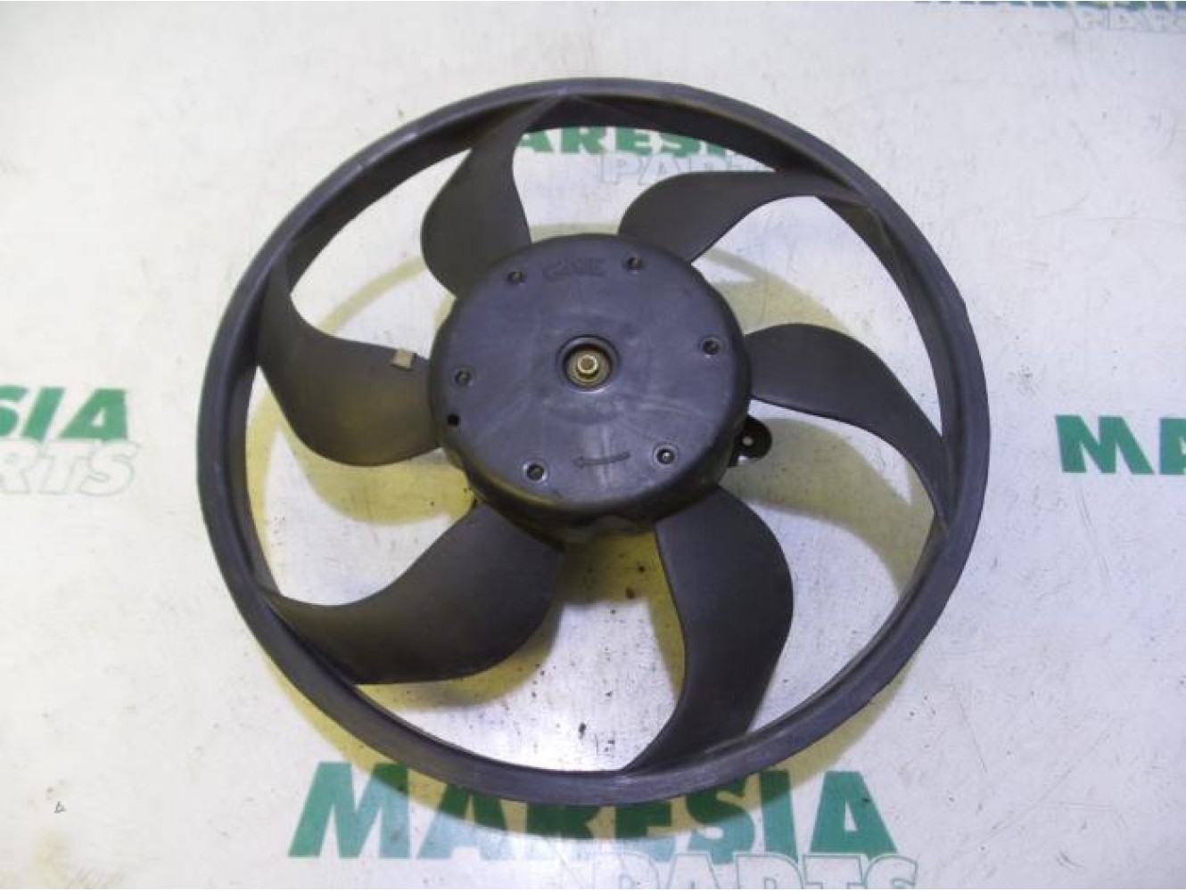 Fiat - Panda - Kühlgebläse Motor
