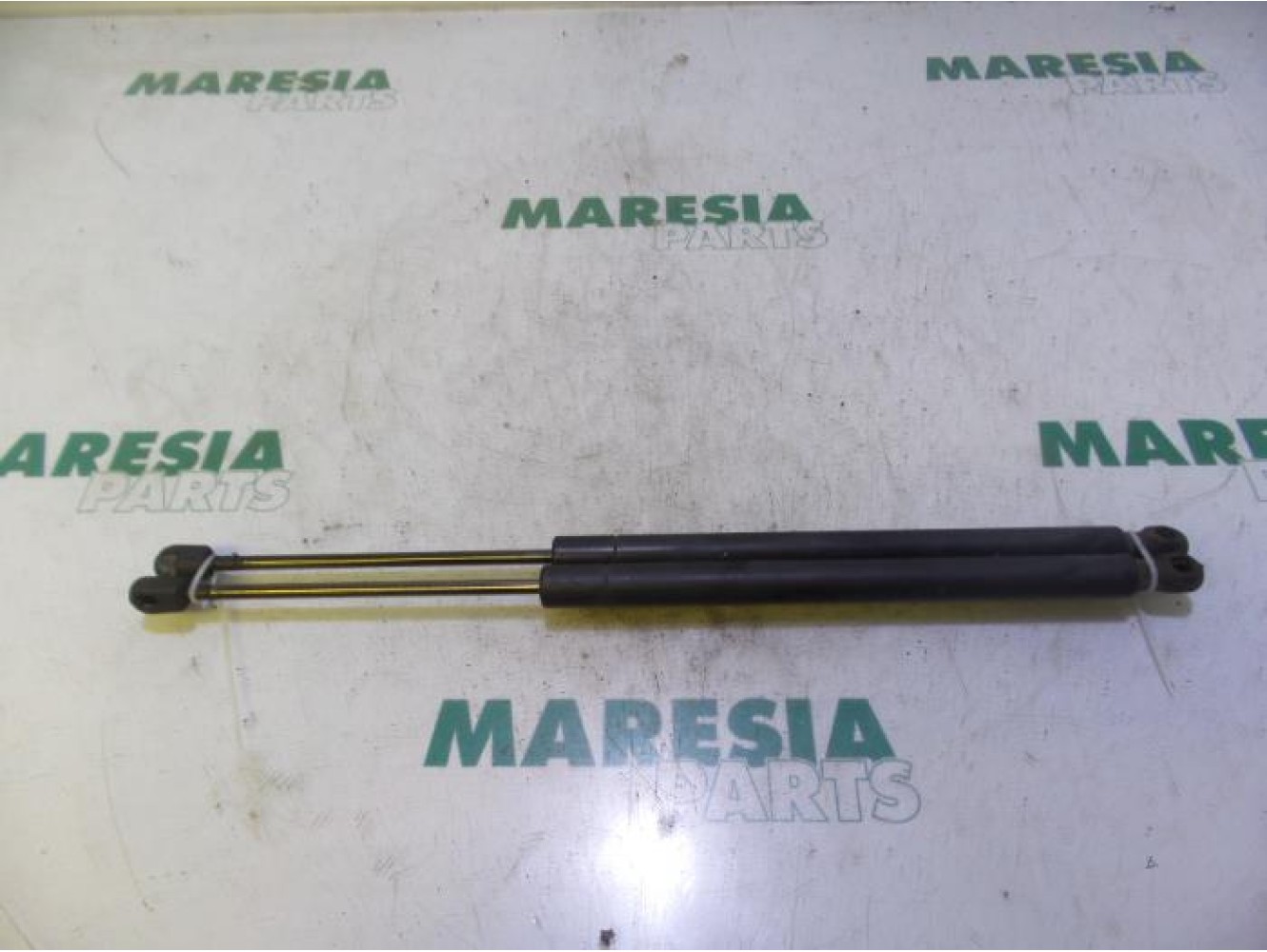 Renault - Megane Scenic - Set of tailgate gas struts
