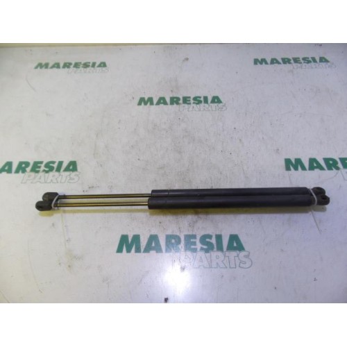 Renault - Megane Scenic - Set of tailgate gas struts