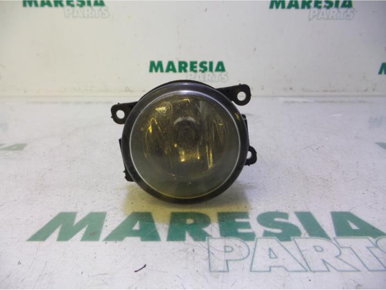 Renault - Laguna - Fog light, front right