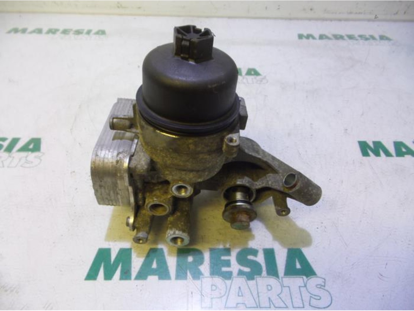 Fiat - Punto - Oil filter holder