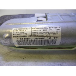Peugeot - 308 - Roof curtain airbag, left