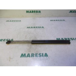 Citroen - C4 Picasso - Set of tailgate gas struts