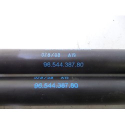 Citroen - C4 Picasso - Set of tailgate gas struts