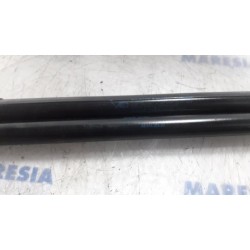 Citroen - C4 Picasso - Set of tailgate gas struts