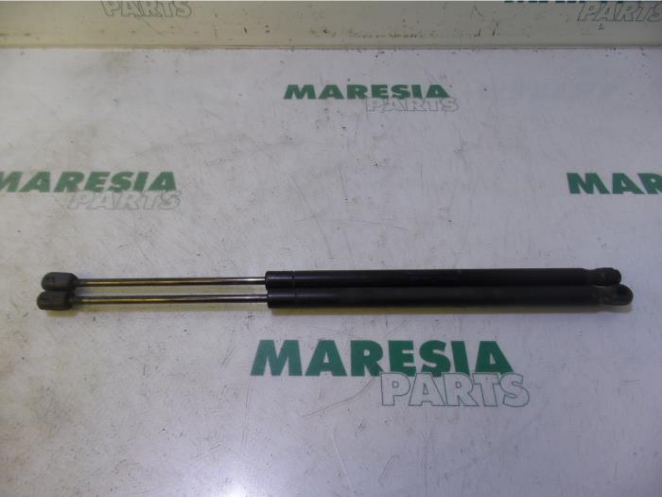 Renault - Megane Scenic - Set of tailgate gas struts