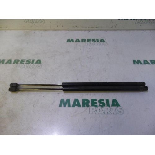 Renault - Megane Scenic - Set of tailgate gas struts