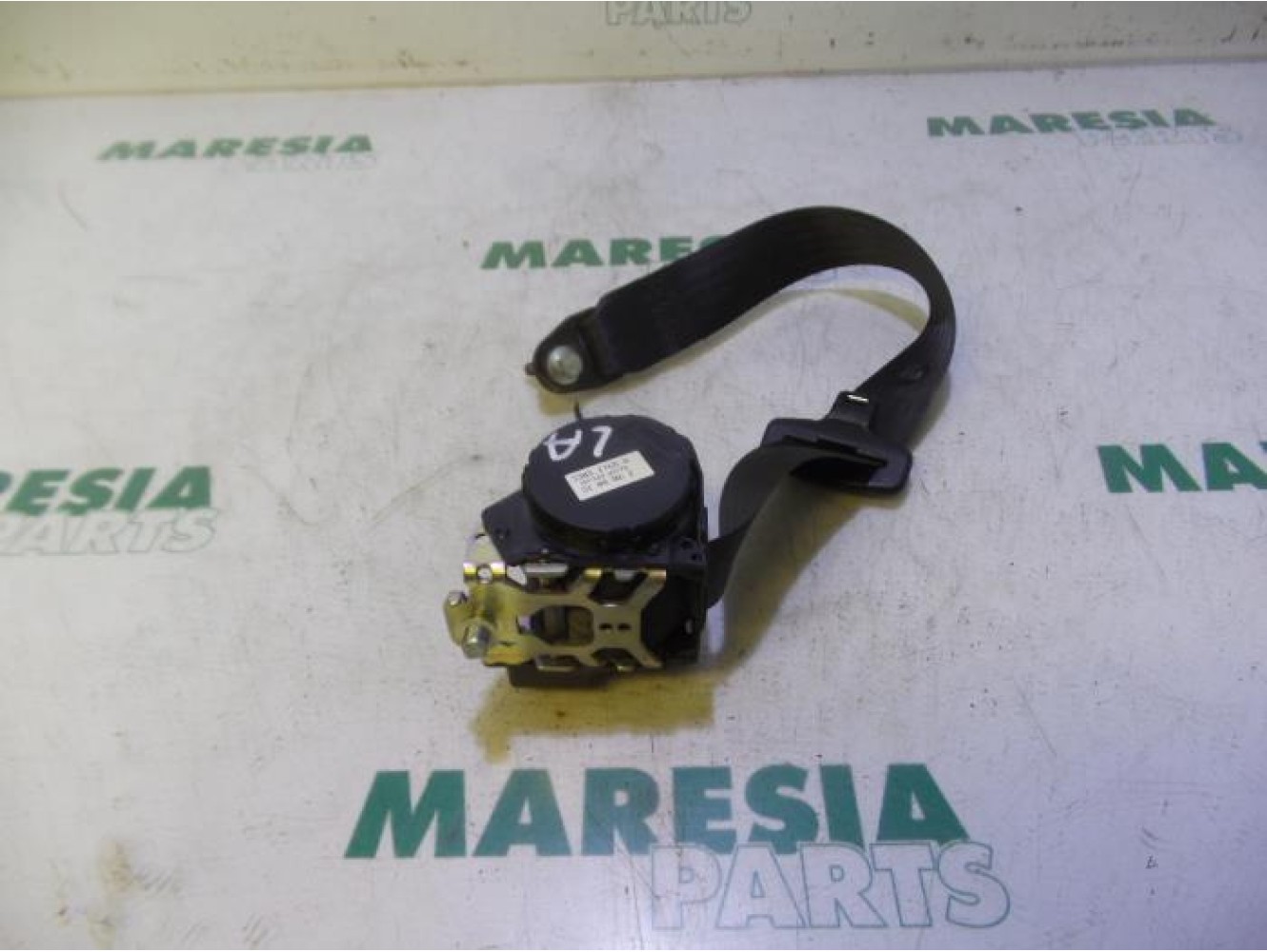 Fiat - Panda - Sicherheitsgurt links hinten