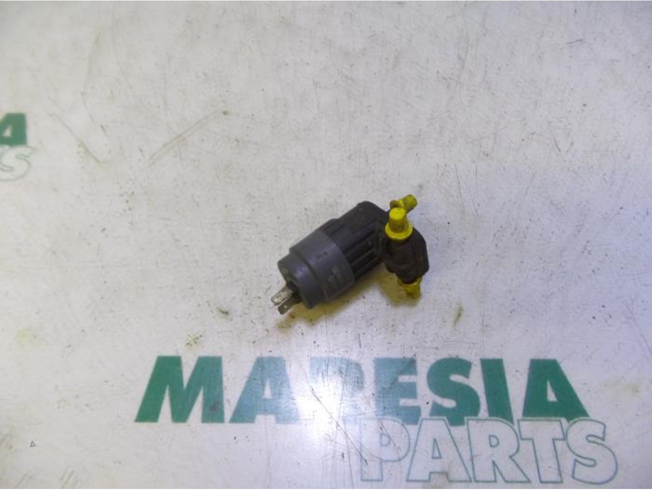Fiat - Panda - Scheibensprüherpumpe vorne