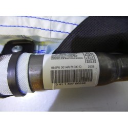 Renault - Megane Scenic - Airbag Himmel rechts