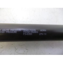 Renault - Megane Scenic - Set of tailgate gas struts