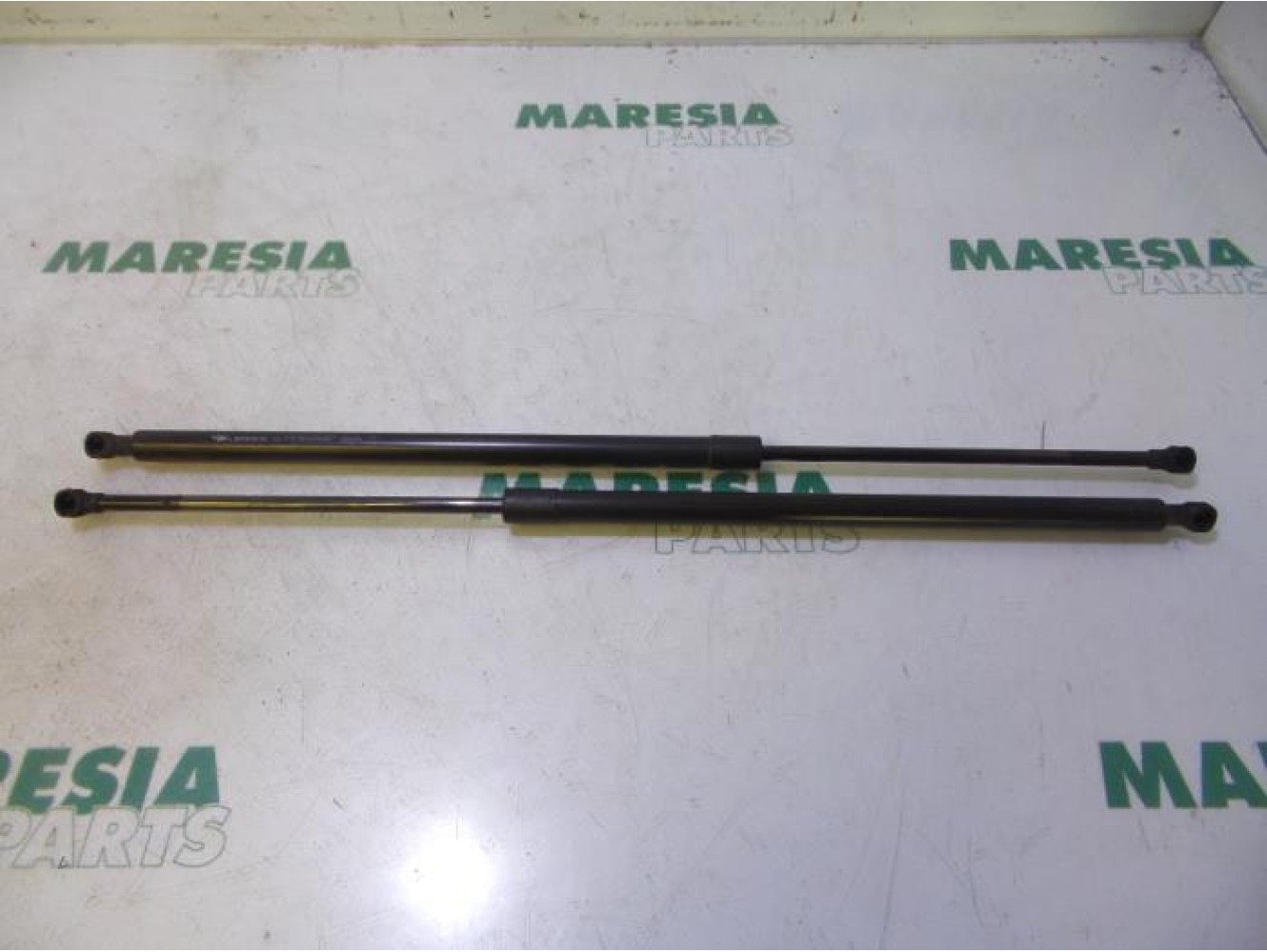 Renault - Megane Scenic - Set of tailgate gas struts