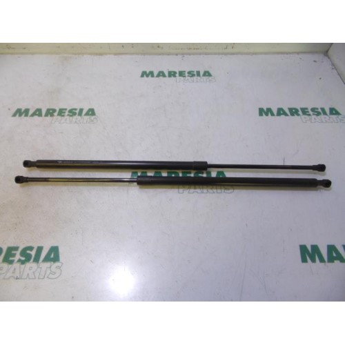 Renault - Megane Scenic - Set of tailgate gas struts