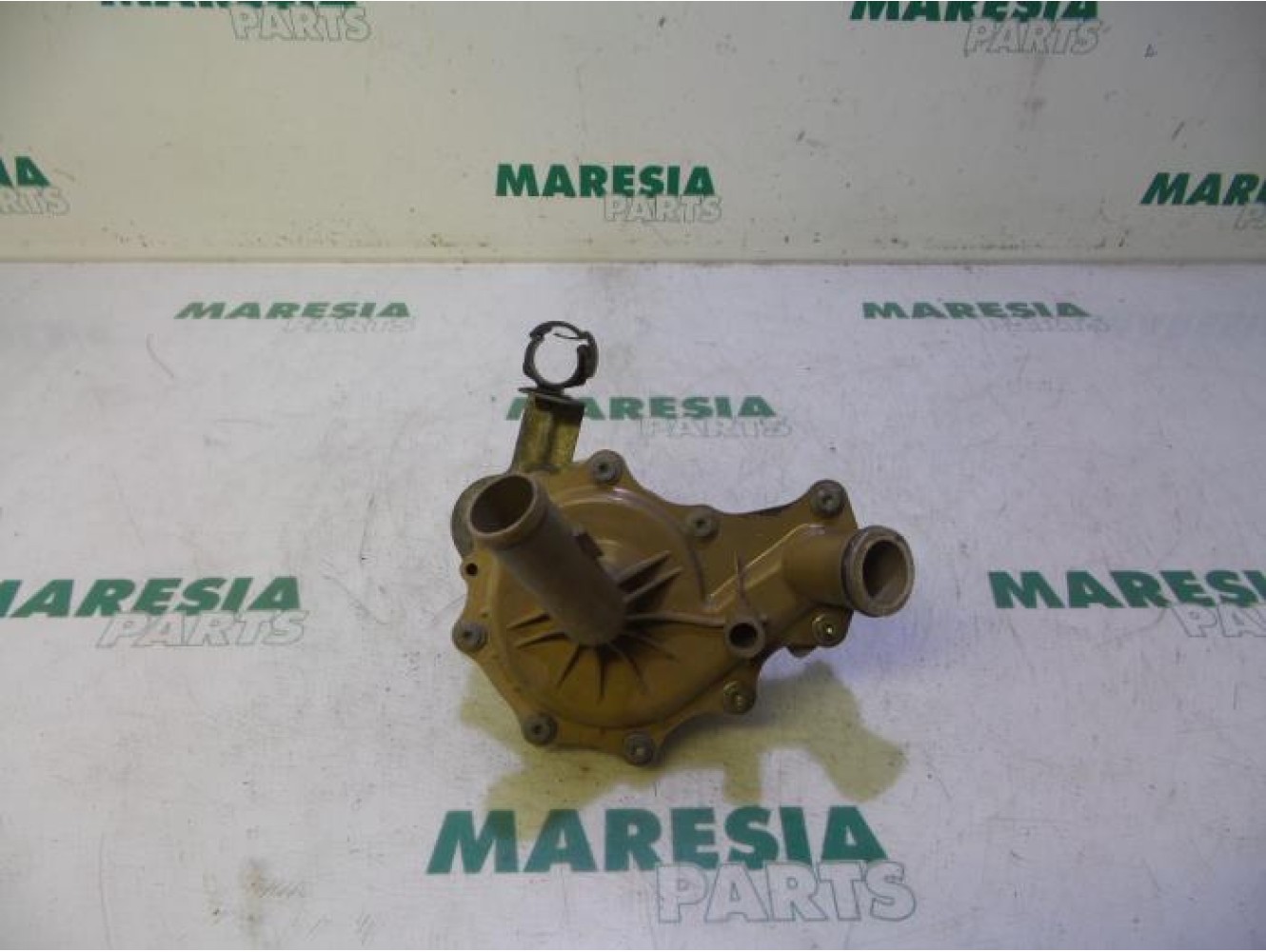 Peugeot - Boxer - Wasserpumpe