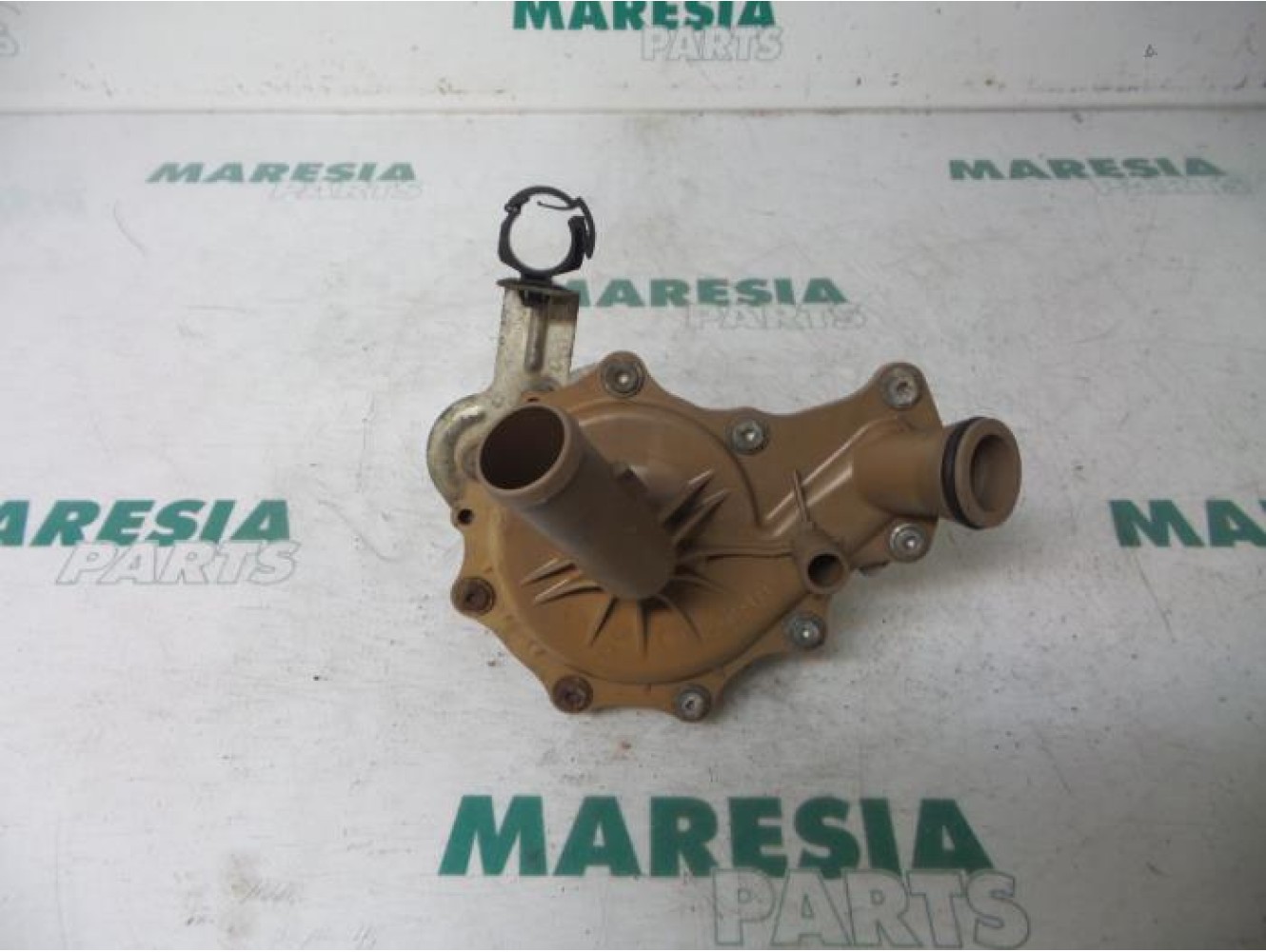 Peugeot - Boxer - Wasserpumpe