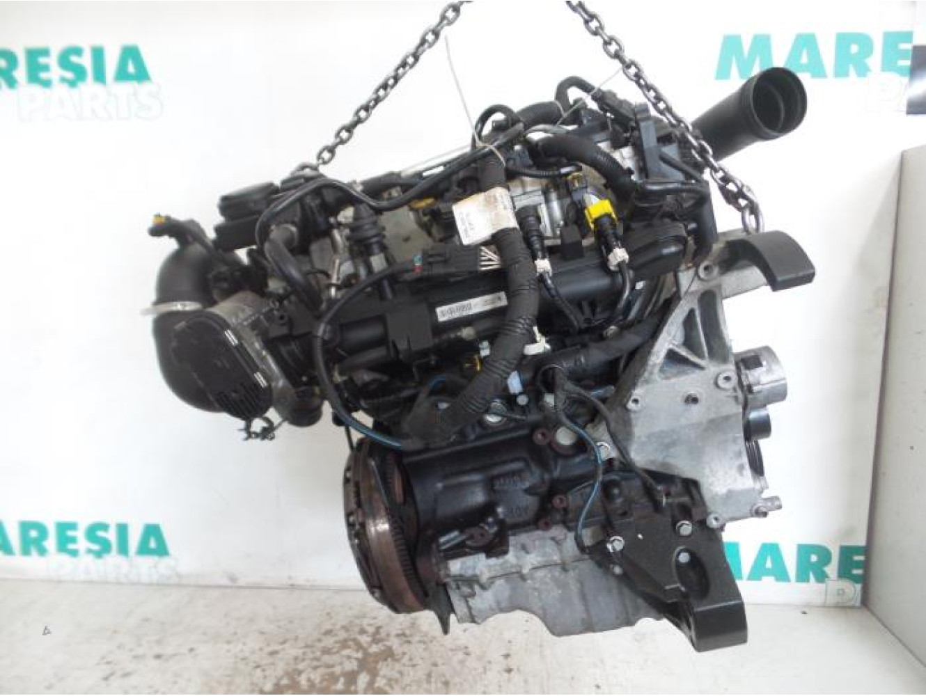 Fiat - Punto - Motor