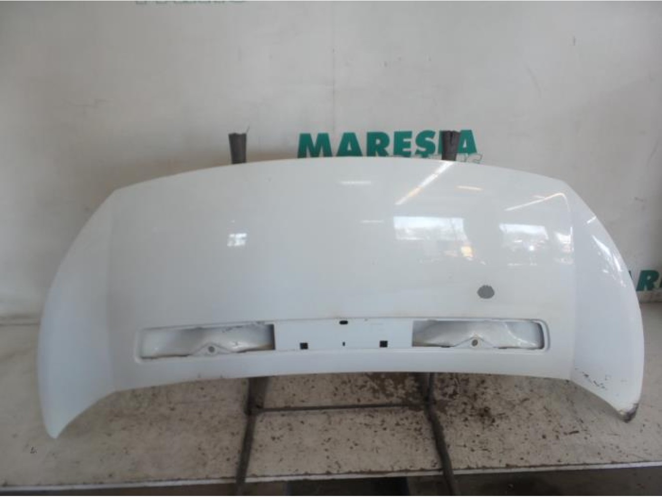 Fiat - Scudo - Motorhaube