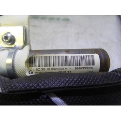 Peugeot - 508 - Airbag Himmel links