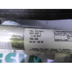 Citroen - C4 Picasso - Airbag hemel links
