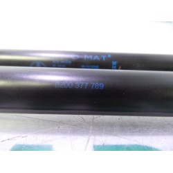 Renault - Megane Scenic - Set of tailgate gas struts