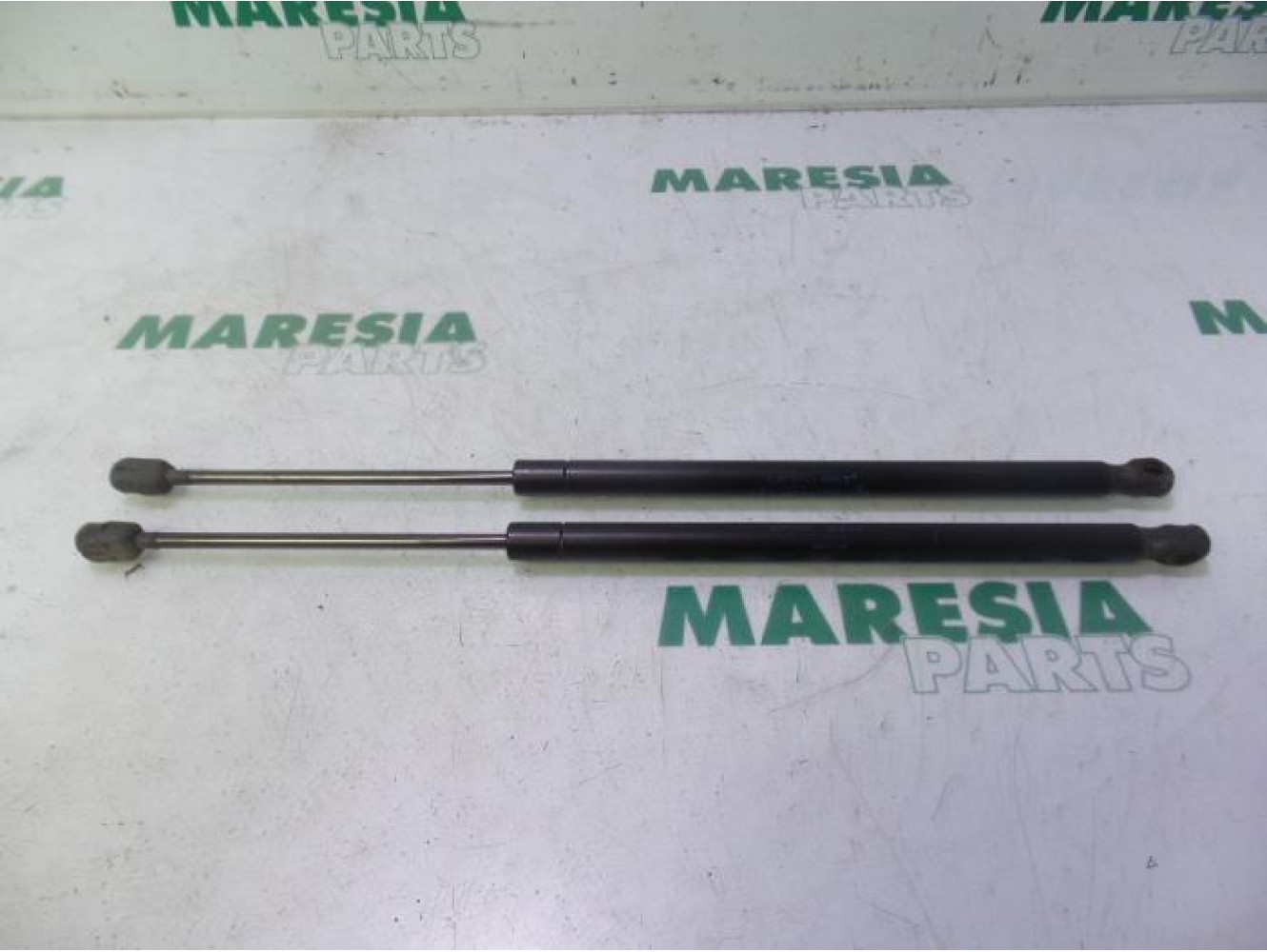 Renault - Megane Scenic - Set of tailgate gas struts