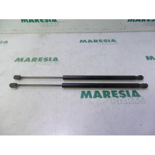 Renault - Megane Scenic - Set of tailgate gas struts