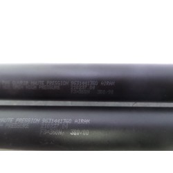 Peugeot - 206 - Set Gasdämpfer Heckklappe