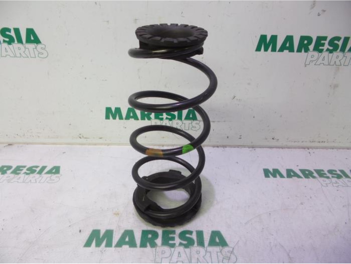 Fiat - Punto - Rear coil spring