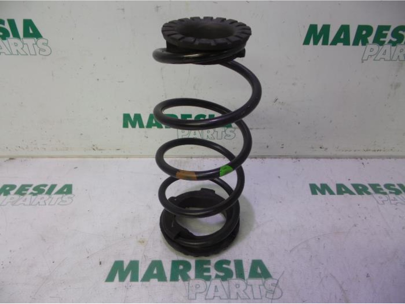 Fiat - Punto - Rear coil spring